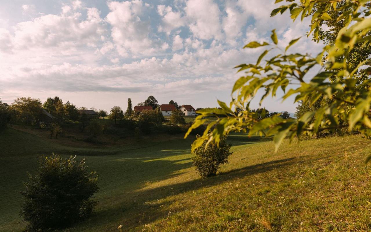 Hisa Na Ravnah Otel Pišece Dış mekan fotoğraf
